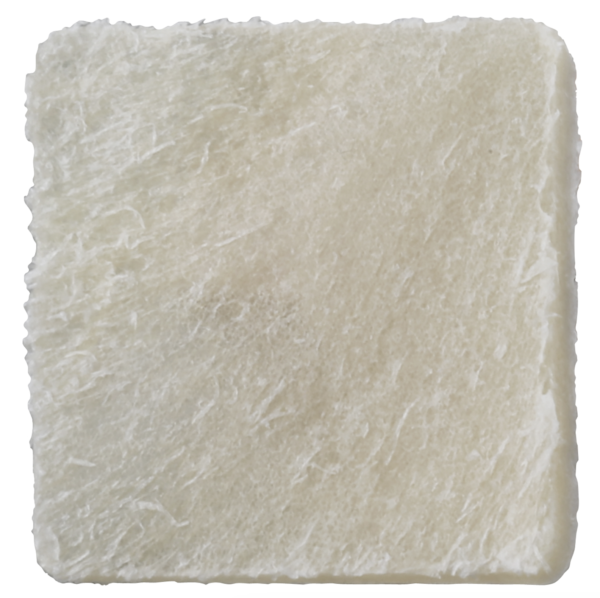 Cortical Plate 20x10x1mm (allograft)